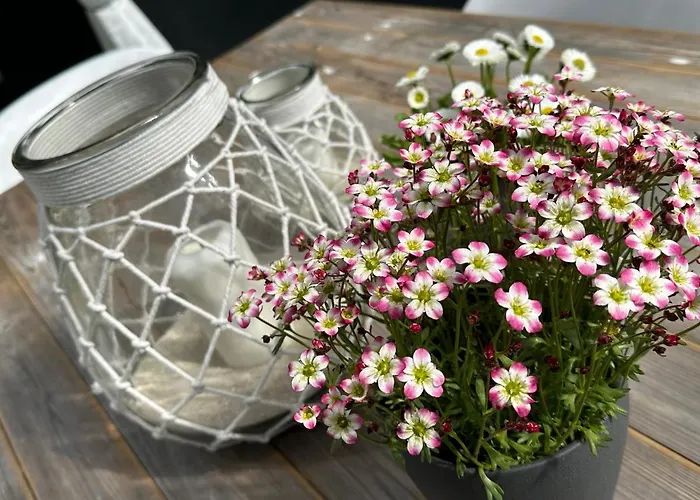 Casa vacanze Remise-berlin-gruenau Your Cozy And Comfortable To For Up To 6 People Between Mueggelsee And Berlino