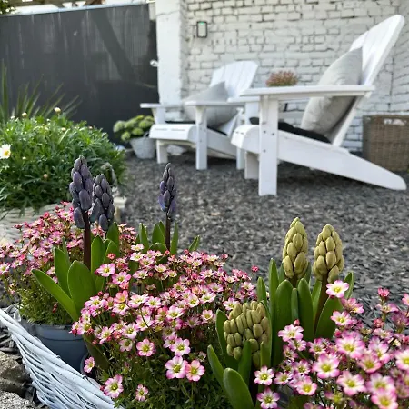 Remise-berlin-gruenau Your Cozy And Comfortable To For Up To 6 People Between Mueggelsee And