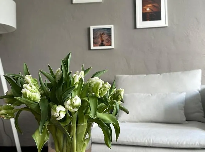 Remise-berlin-gruenau Your Cozy And Comfortable To For Up To 6 People Between Mueggelsee And Vakantiehuis *